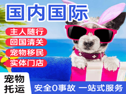 大同云冈空运地址国际宠物托运 【国